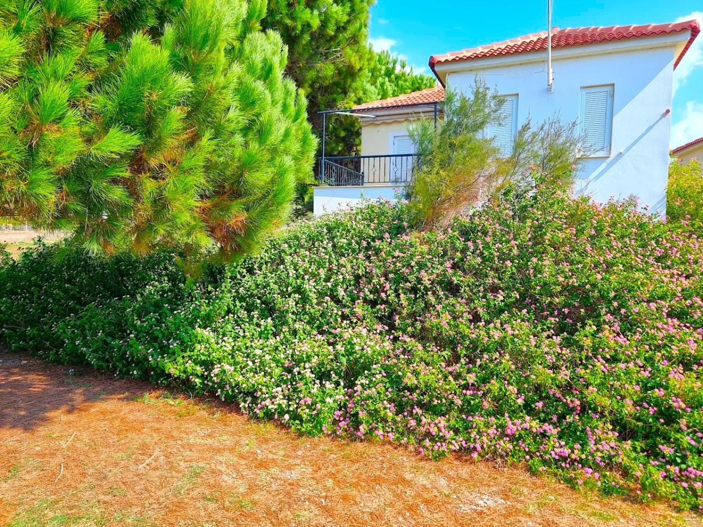 Romanos Beach Villas Luaran gambar